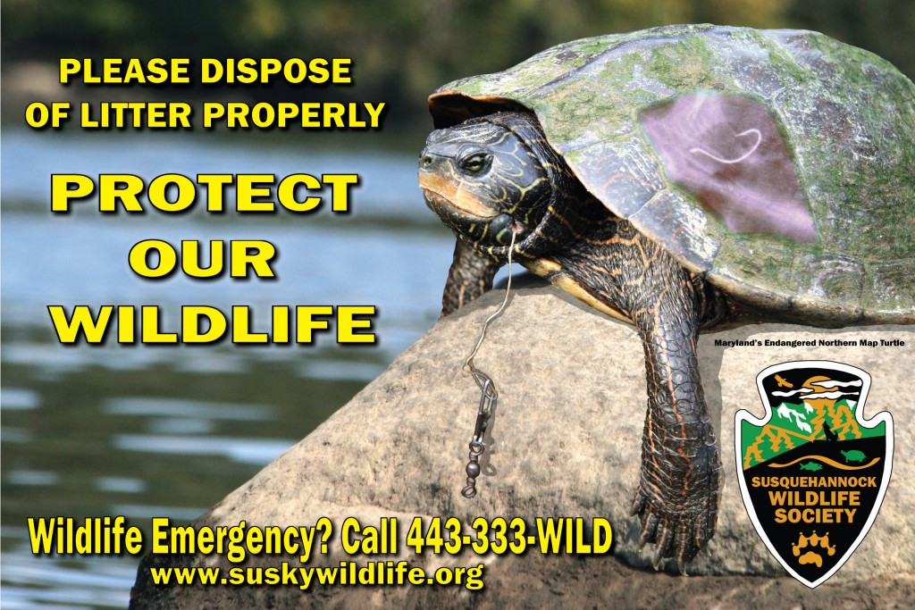 Litter-Poster--Map-Turtle