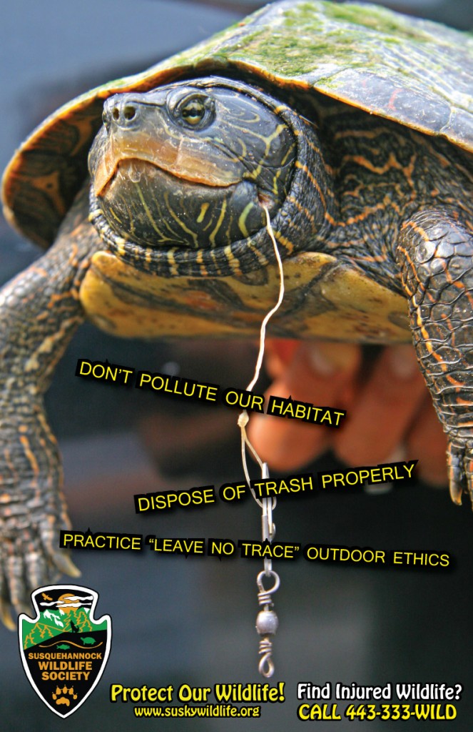 Map-Turtle-Litter-Poster