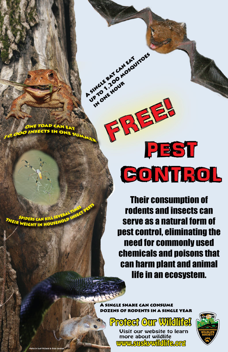 Pest-Control