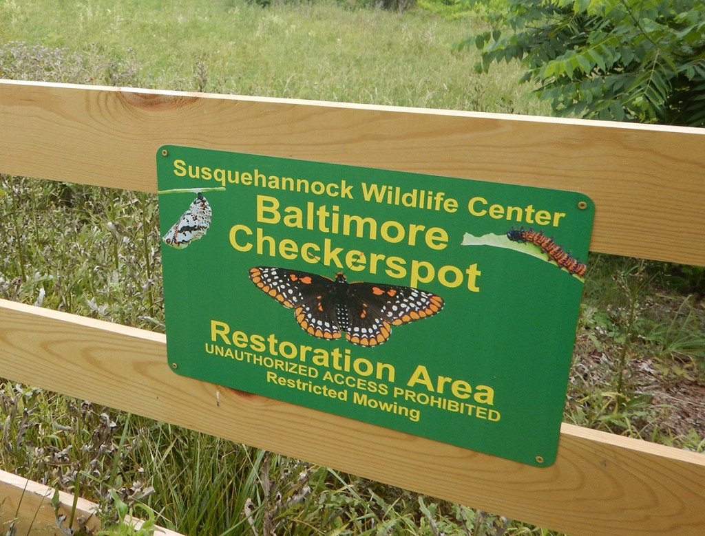 Checkerspot-Sign