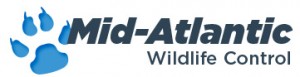 MidAtlanticWildlifelogo