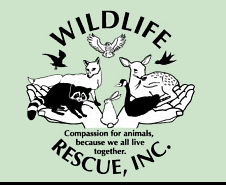 Wildlife Rescue Inc