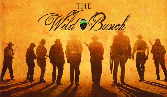 Wildbunch