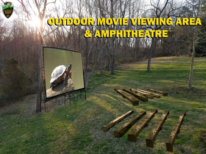 Movie-Amphitheatre-Concept