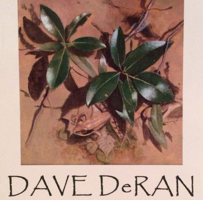 DaveDeRan