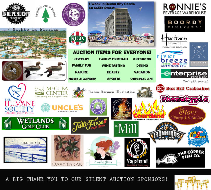 Silent-Auction-Sponsors