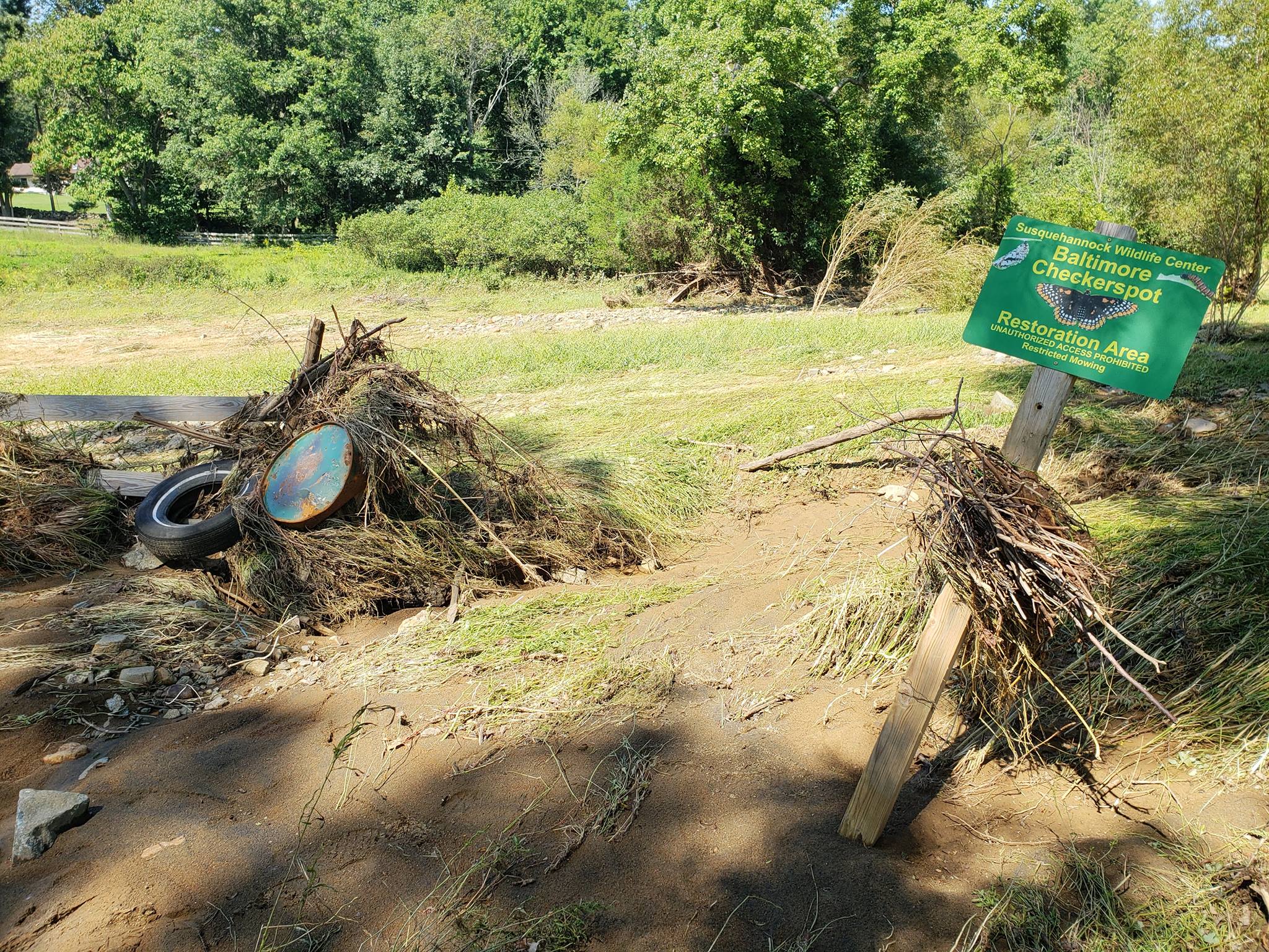 Flood Clean-Up Day at the Wildlife Center