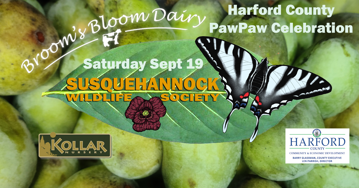 New Harford County PawPaw Celebration!