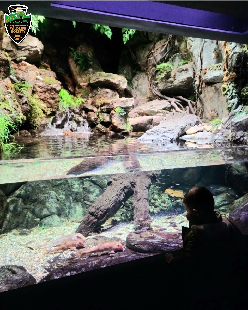 SWS Announces Exhibit Collaboration with National Aquarium