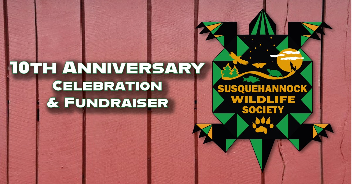 10th Anniversary Celebration & Fundraiser