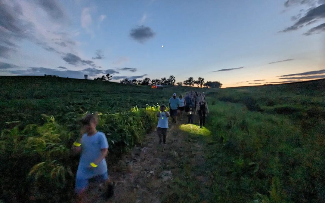 Firefly Hike & Campfire at Stone View Farm