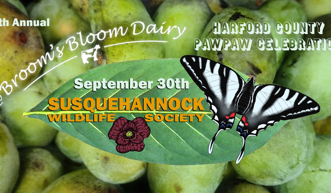 4th Annual Harford County PawPaw Celebration