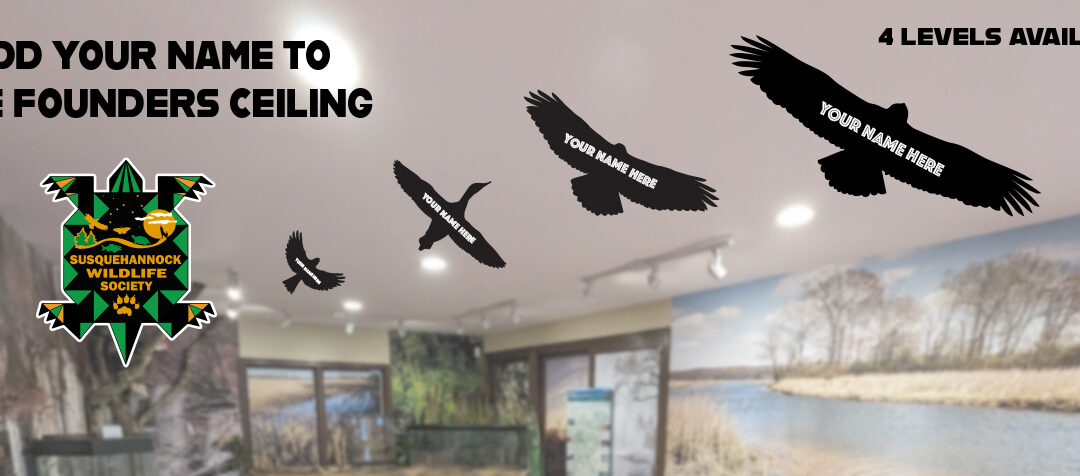 SWS Opens Opportunity to Add Your Name to the New Wildlife Center Ceiling