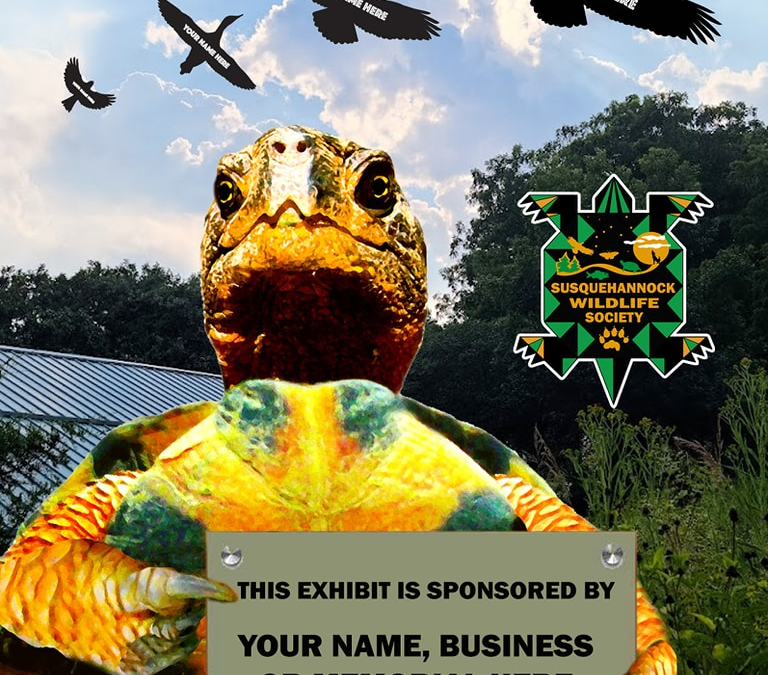Exciting Sponsorship Opportunities