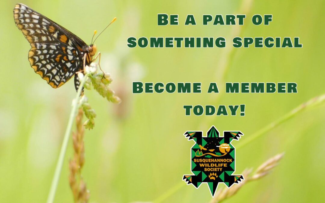 BECOME A MEMBER!
